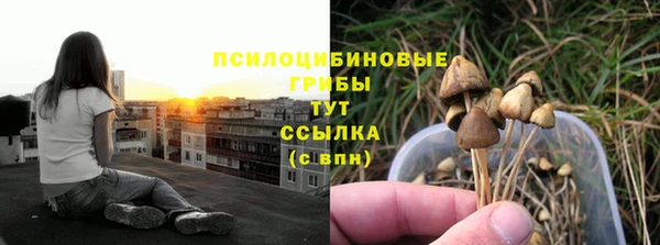 MESCALINE Алзамай