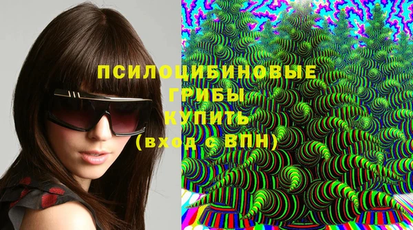 герыч Алексин