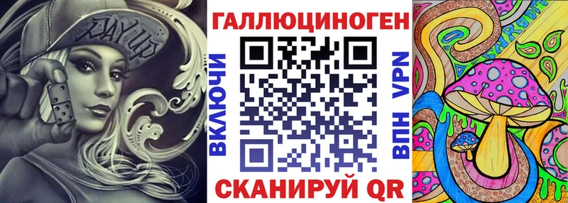 Купить Калач Псилоцибиновые грибы Cubensis